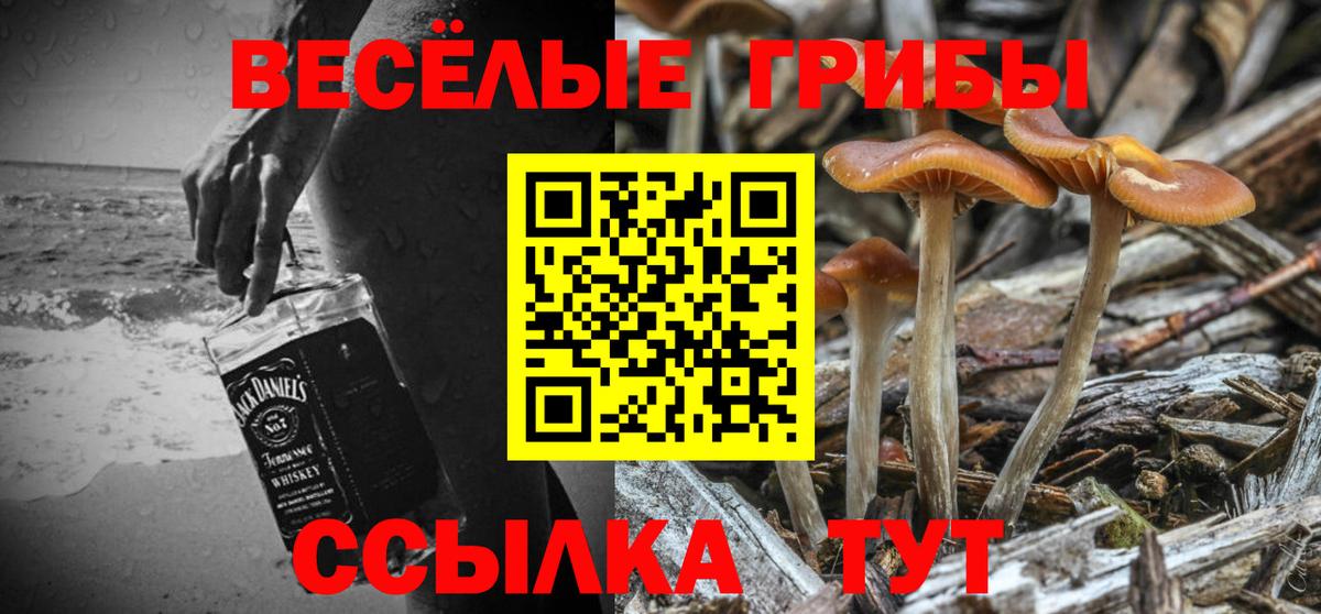 Псилоцибиновые грибы Cubensis Люберцы