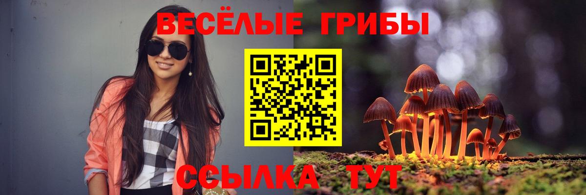 Галлюциногенные грибы Psilocybine cubensis  Вход с VPN  Люберцы 